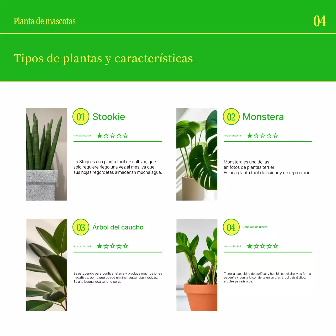 Promociona a tu mascota con sencillos colores amarillo y verde