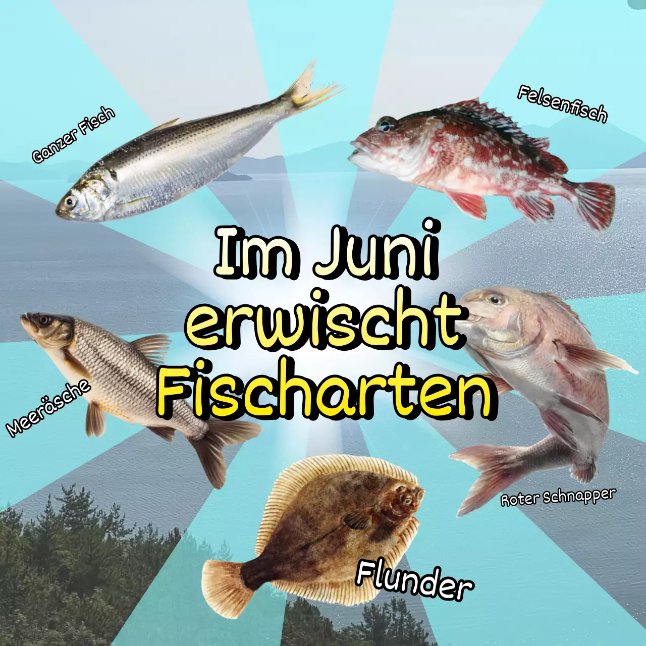 Förderung der Fischerei auf Blaue und Regenbogen im Meer