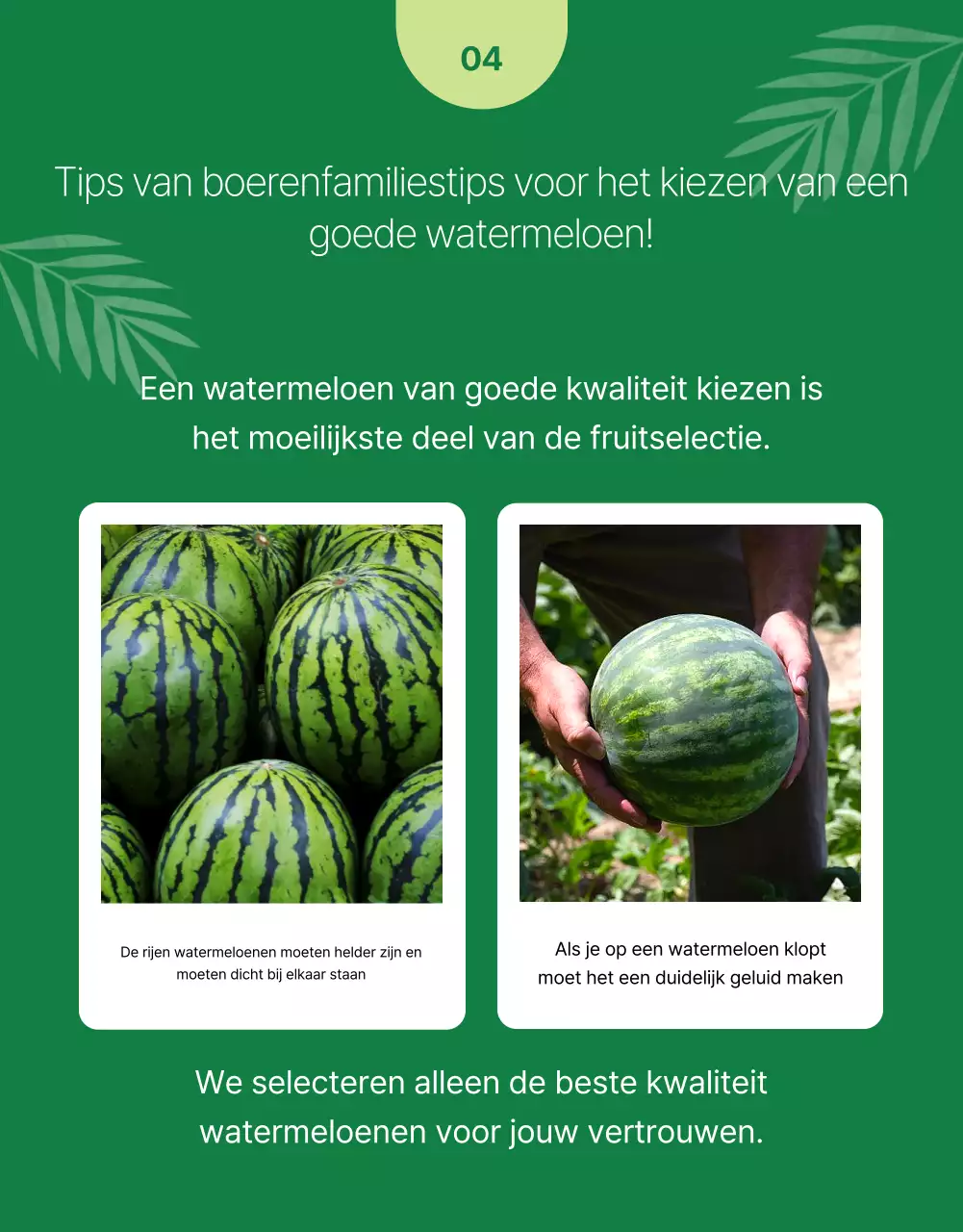 Promoot eenvoudig vers fruit in groene en chartreuse kleuren