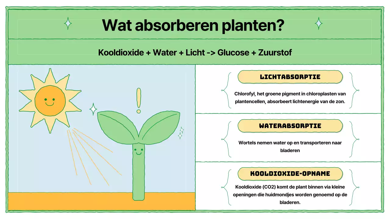 Fotosynthese leermiddelen in chartreuse en lichtblauw