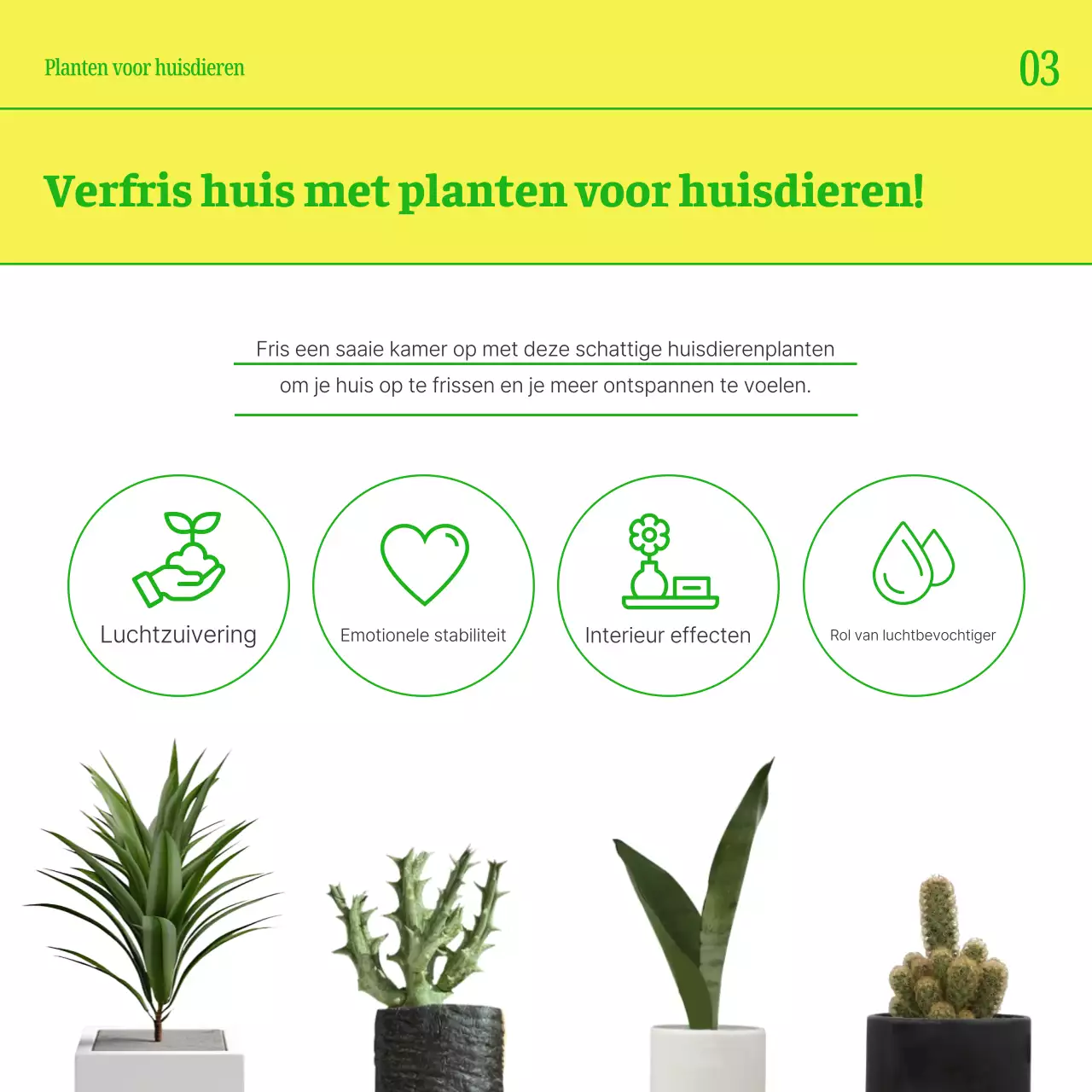 Promoot je huisdier met eenvoudige gele en groene kleuren