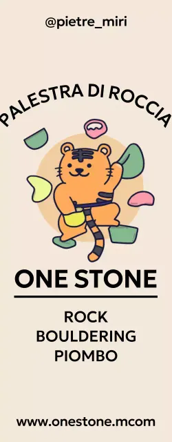 Simpatica tigre che si arrampica