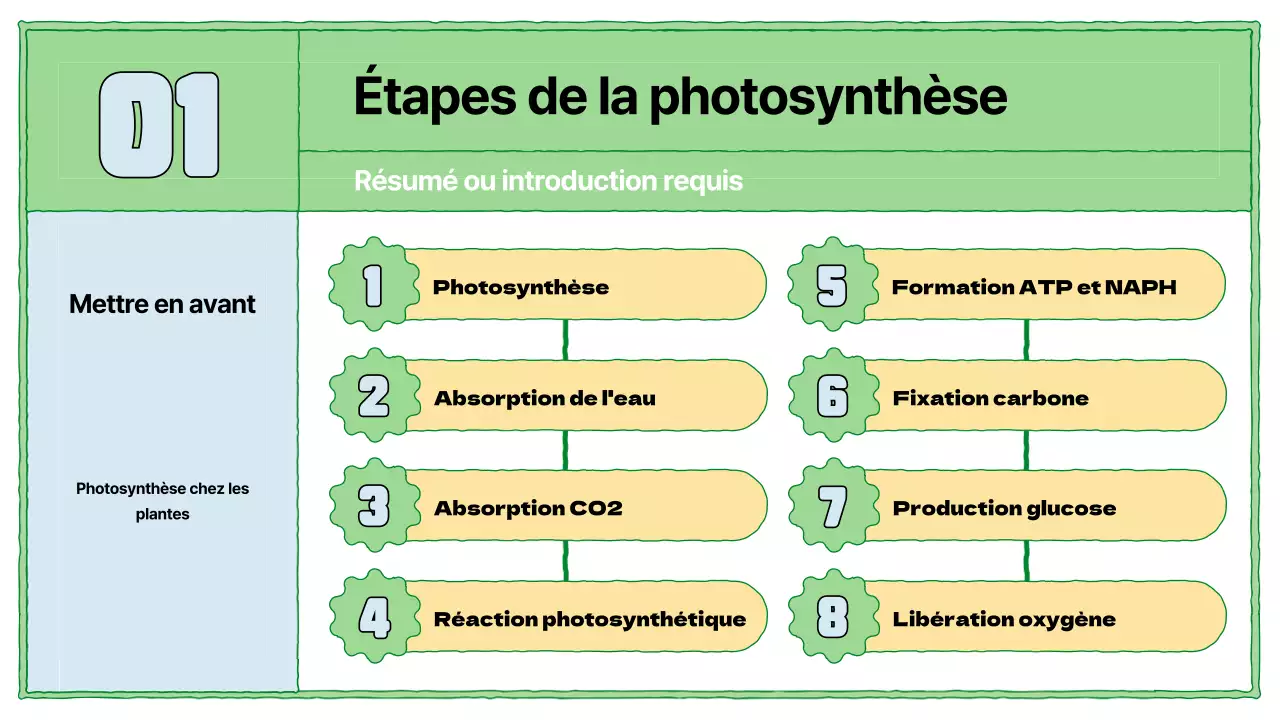 Ressources pédagogiques sur la photosynthèse en chartreuse et bleu clair