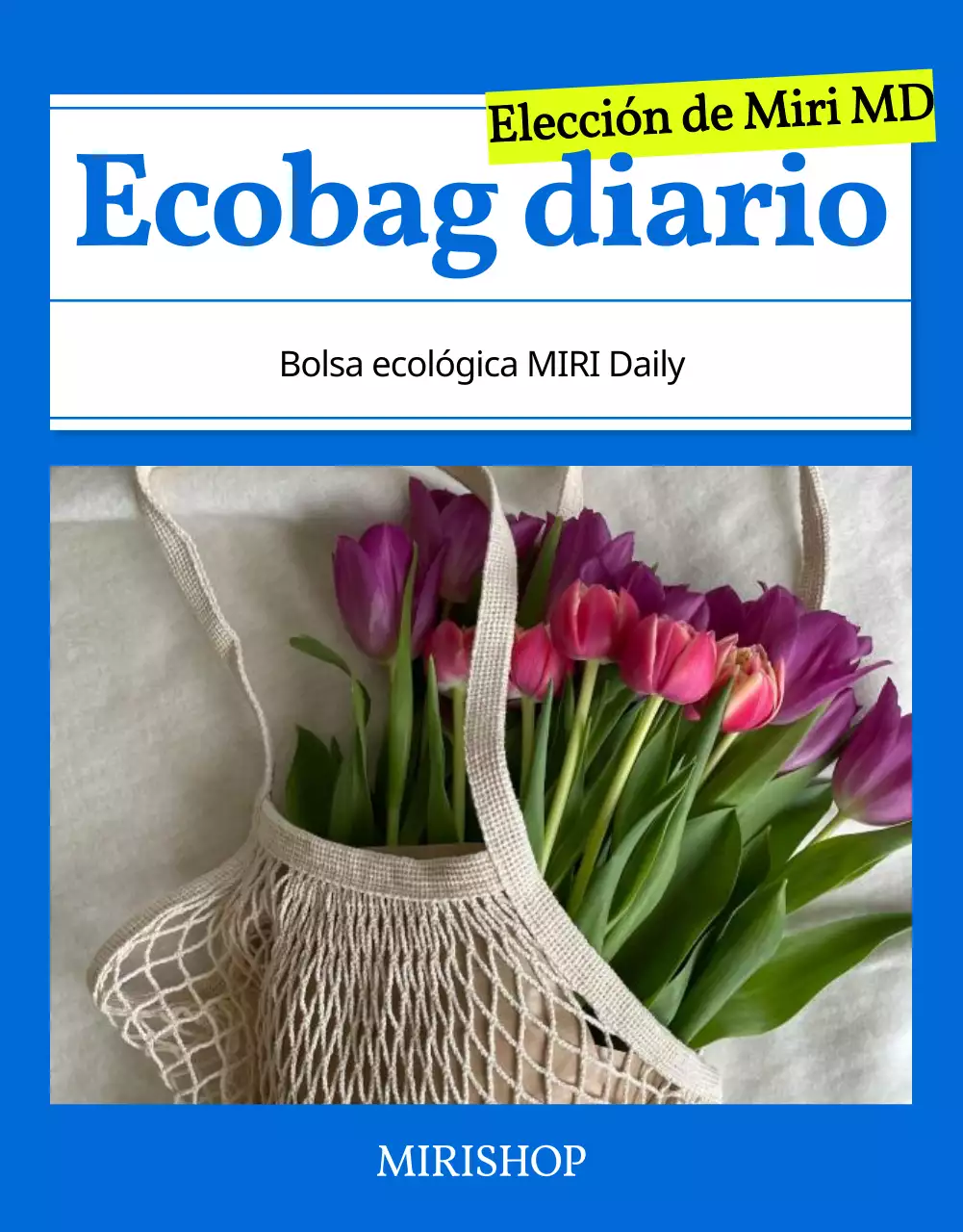 Sencilla bolsa ecológica de moda veraniega en azul explicado