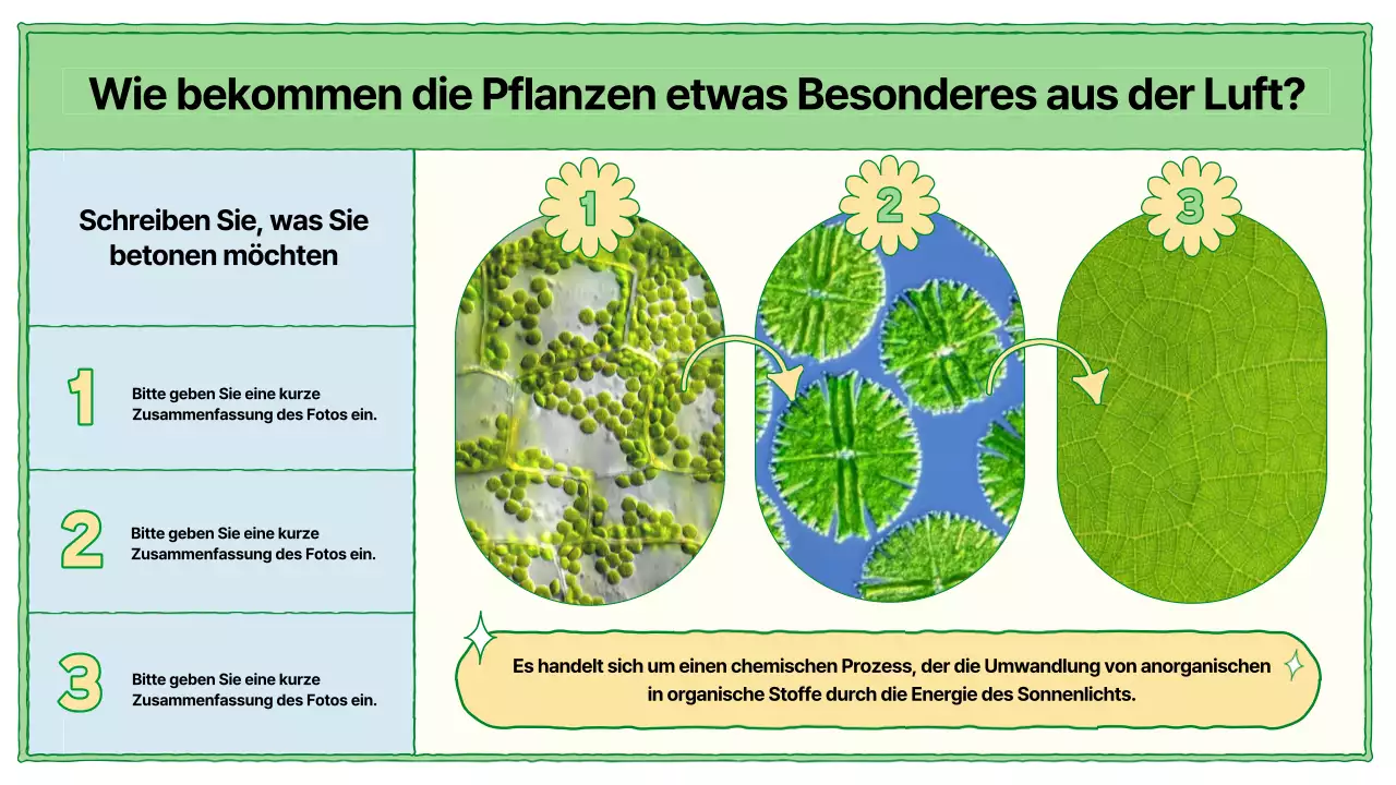 Lehrmaterial zur Photosynthese in Chartreuse und Hellblau