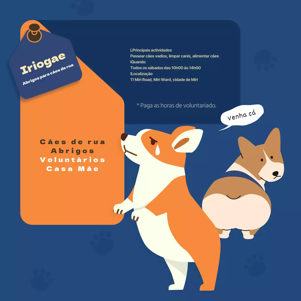 Um esquema simples de cores laranja e azul para promover o recrutamento de voluntários para abrigos de cães