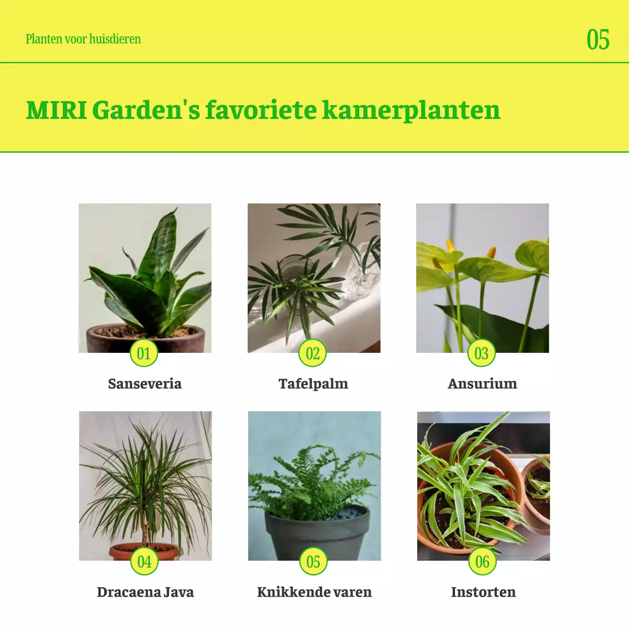 Promoot je huisdier met eenvoudige gele en groene kleuren