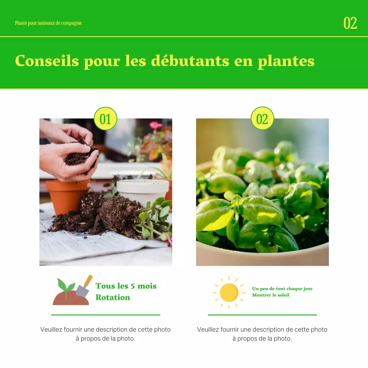 Faites la promotion de votre animal de compagnie avec des couleurs simples comme le jaune et le vert.