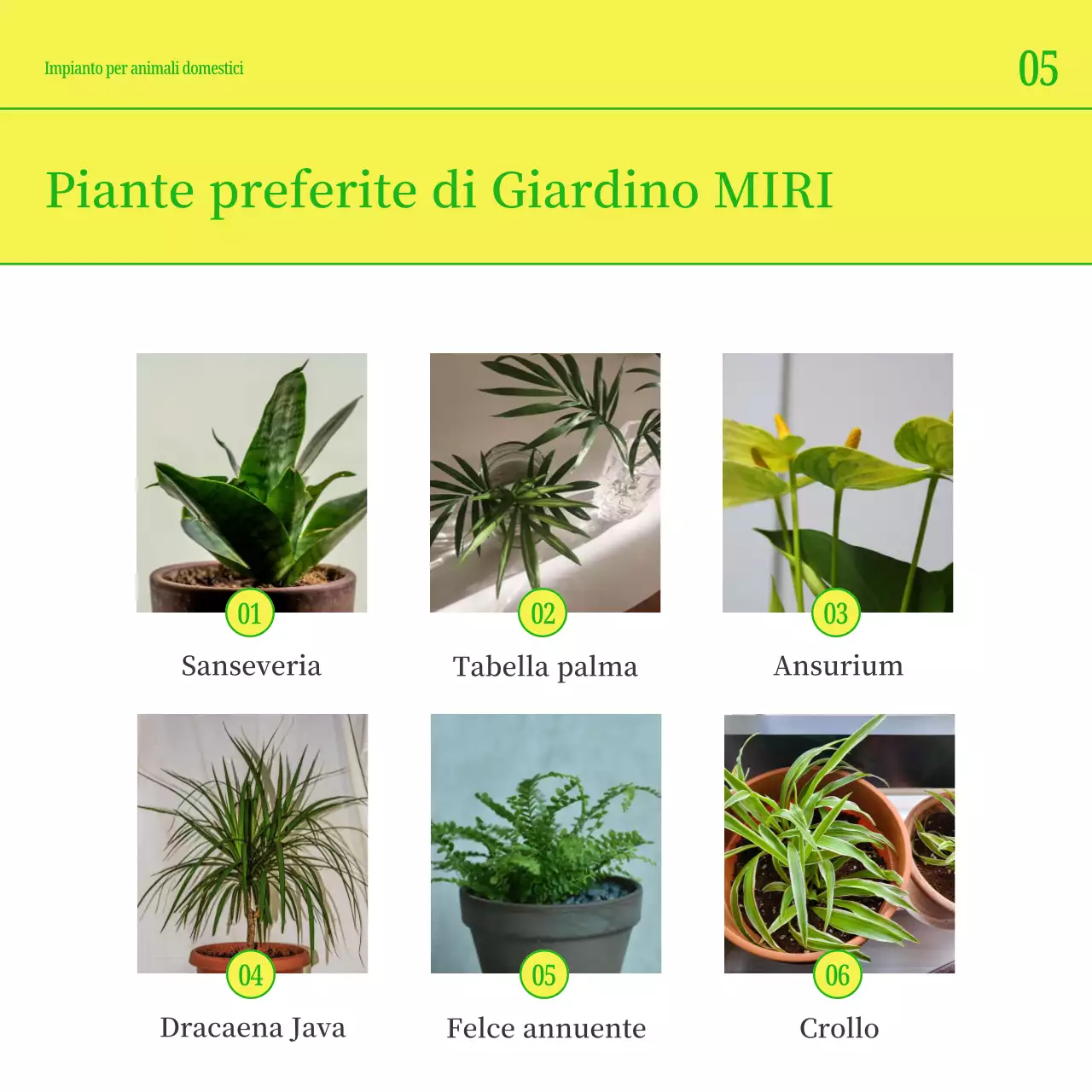 Promuovete il vostro animale domestico con i semplici colori giallo e verde