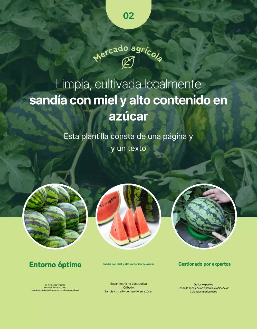 Promover la fruta fresca sencilla en colores verde y chartreuse