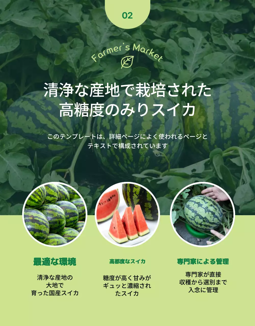 赤 シンプル スイカ パンフレット 詳細ページ