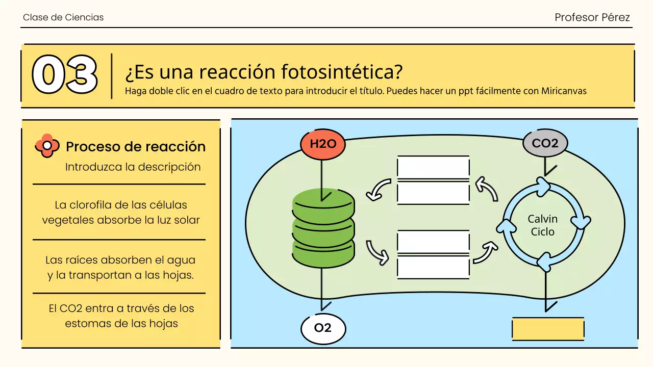 Fotosíntesis en un estallido de naranja y verde