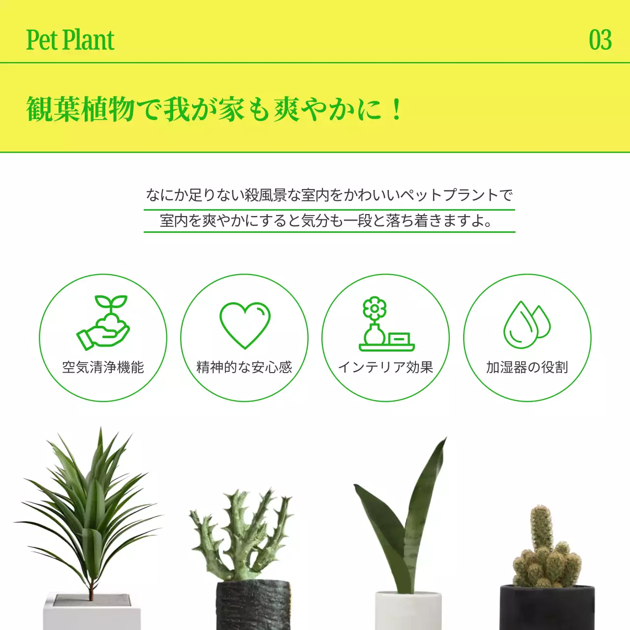 黄色 シンプル 観葉植物 パンフレット Instagram カルーセル