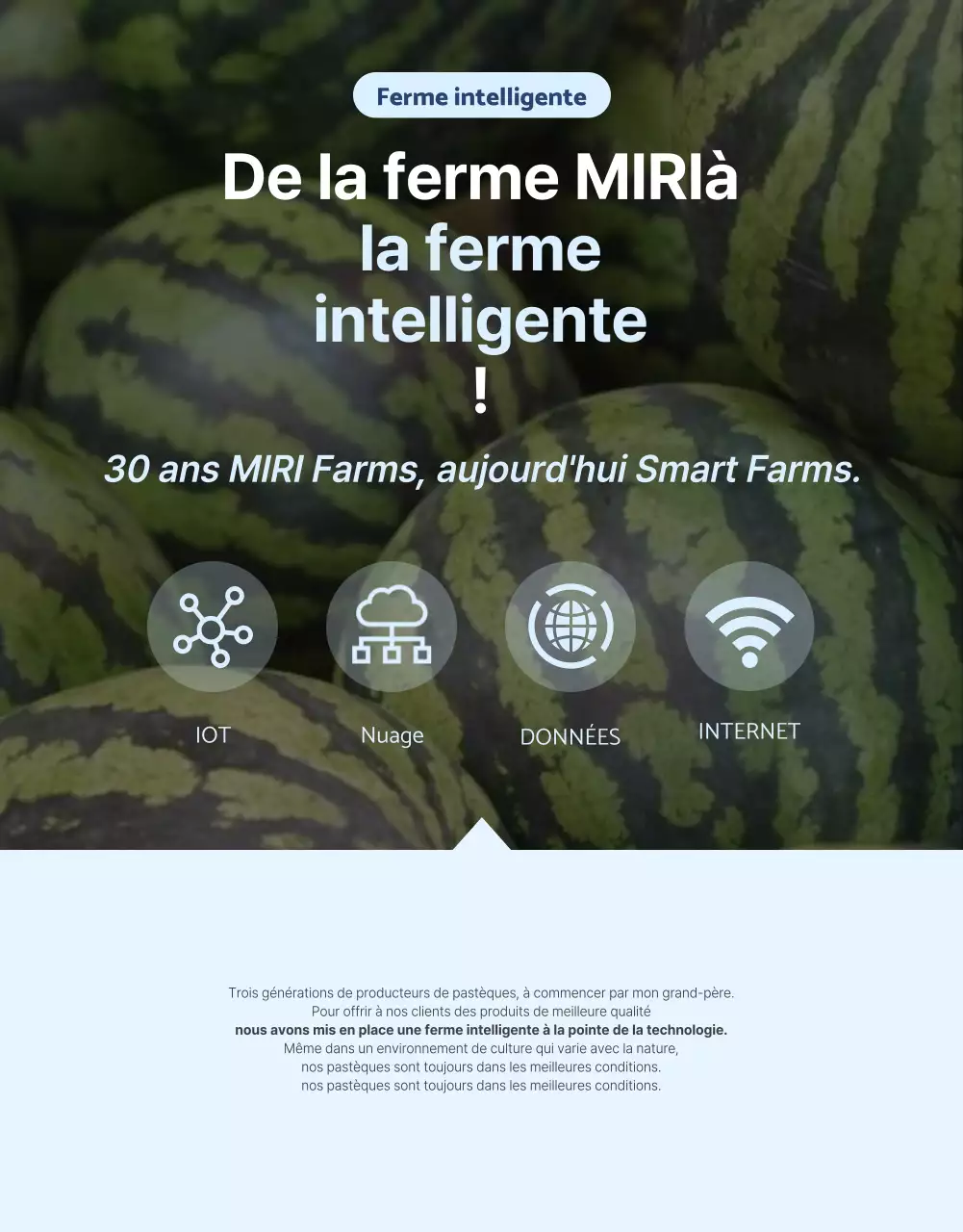 Promouvoir les fruits naturels de saison en bleu et blanc