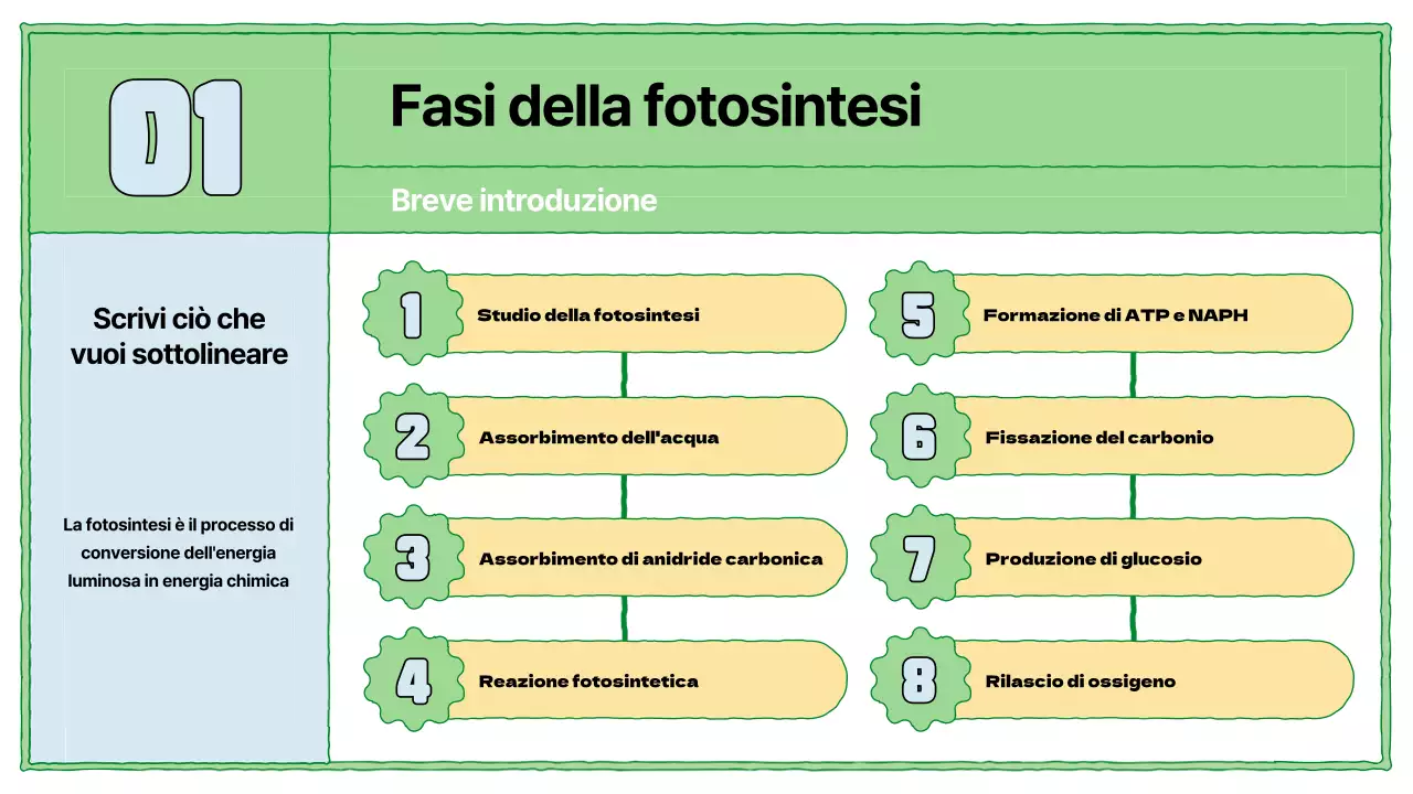 Risorse didattiche sulla fotosintesi in chartreuse e azzurro