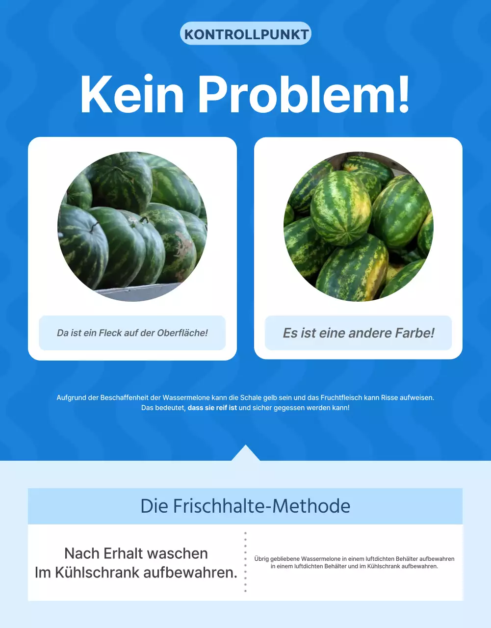 Förderung natürlicher Sommerfrüchte der Saison in Blau und Weiß