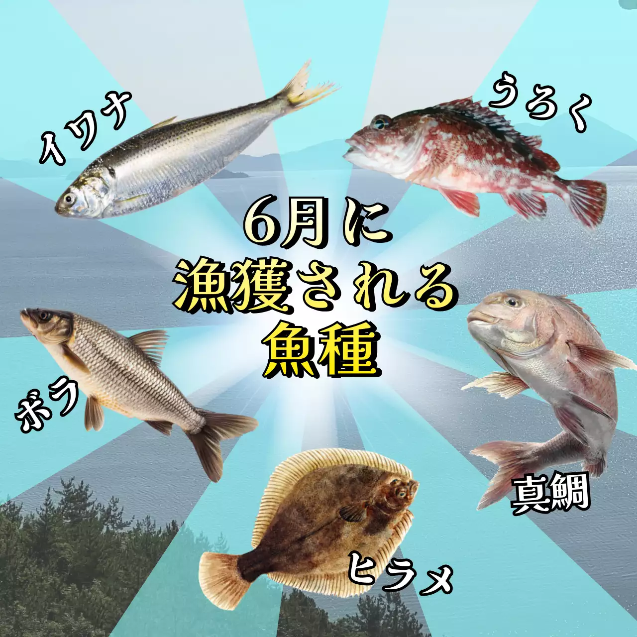 青 漫画 釣り ポスター Instagram カルーセル