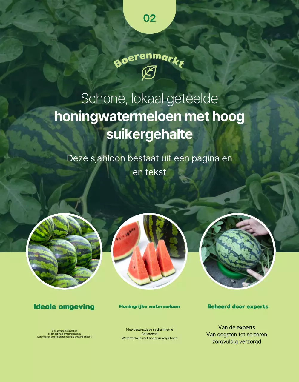 Promoot eenvoudig vers fruit in groene en chartreuse kleuren