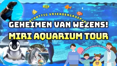 Advertenties die de attracties van het aquarium laten zien in een mooie blauwe look.