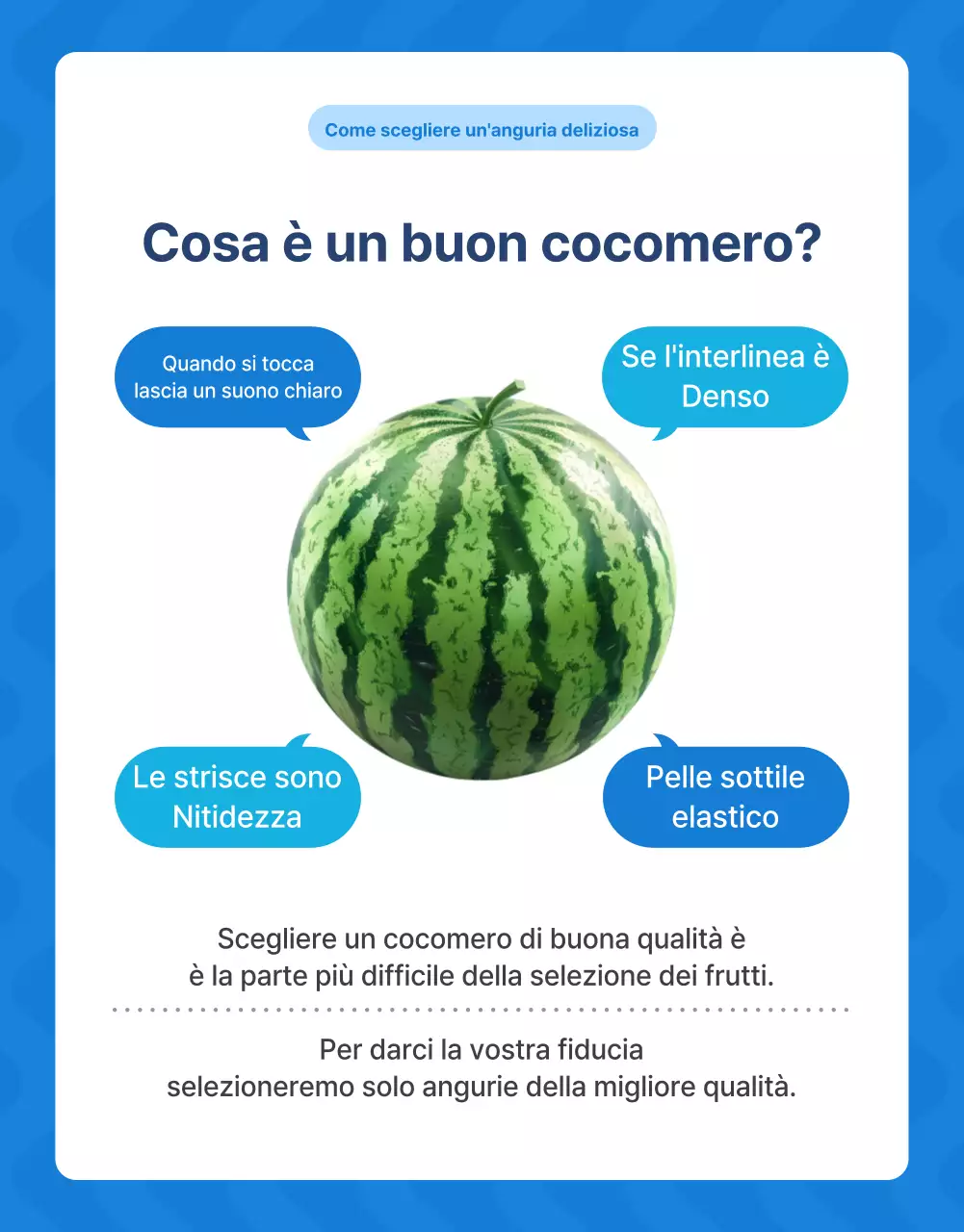 Promuovere la frutta naturale estiva di stagione in blu e bianco