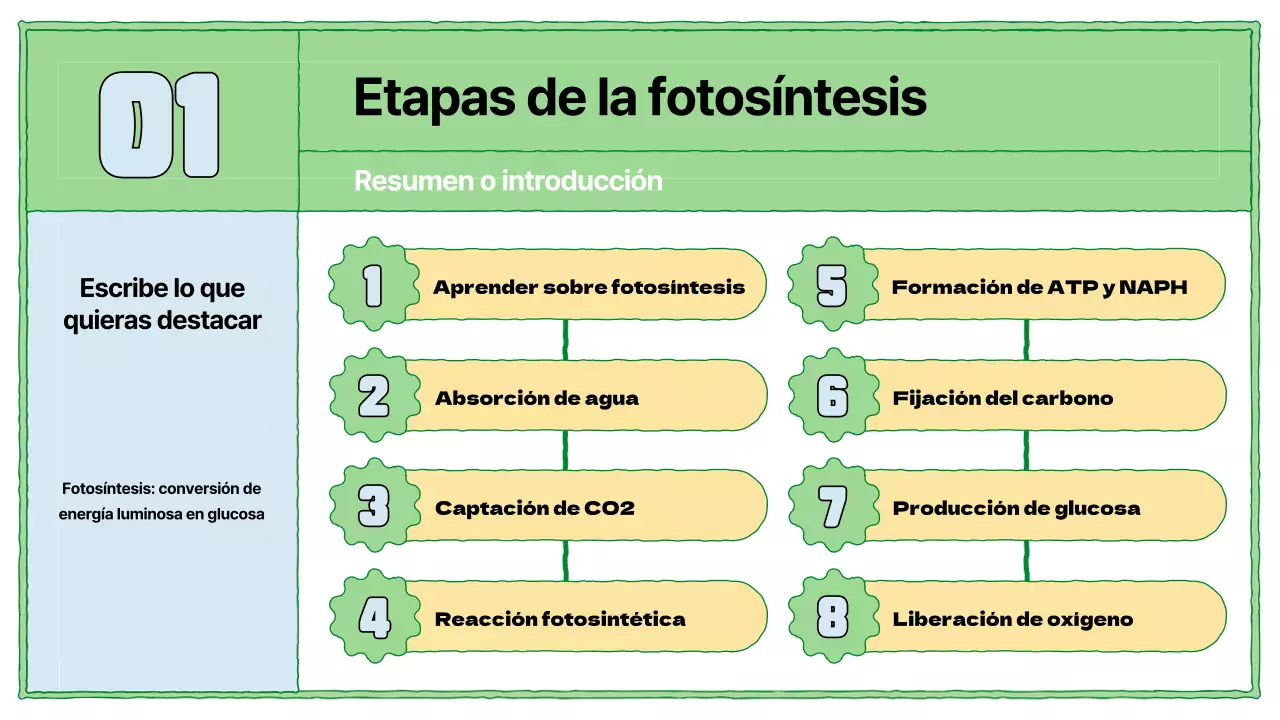 Recursos educativos sobre fotosíntesis en chartreuse y azul claro
