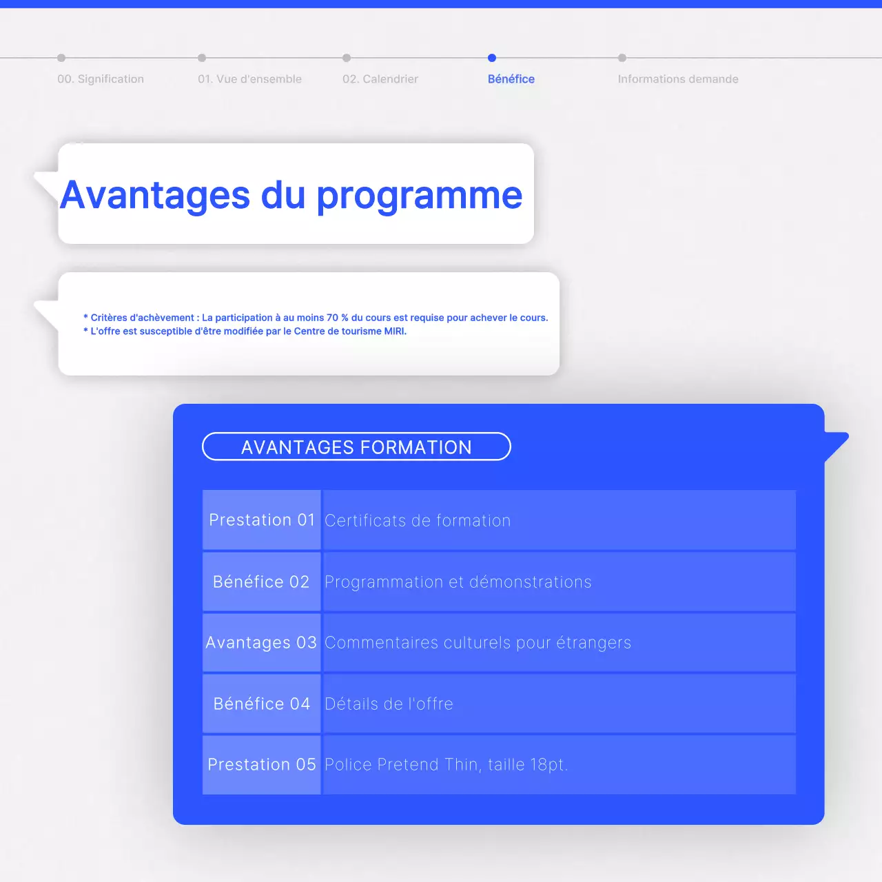 Guide de formation des interprètes culturels modernes en bleu et blanc