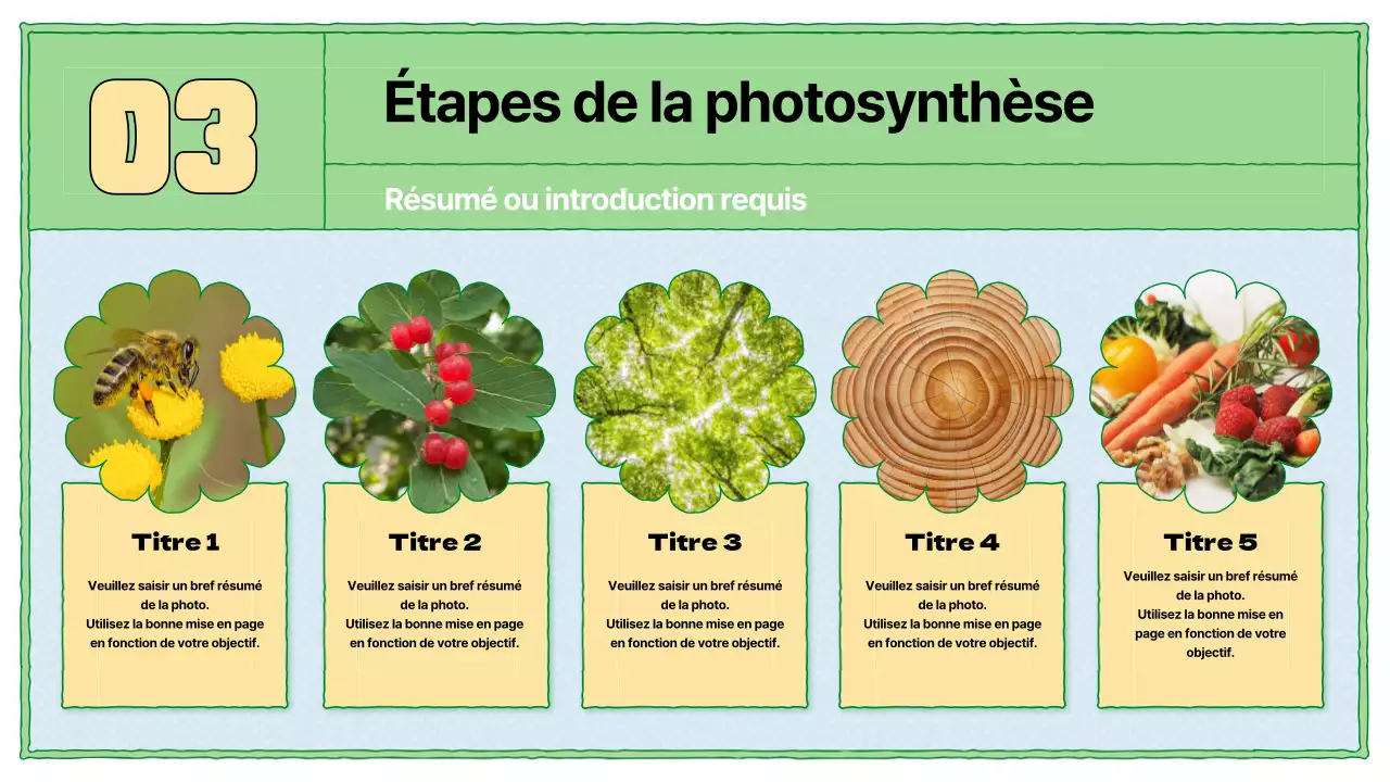 Ressources pédagogiques sur la photosynthèse en chartreuse et bleu clair