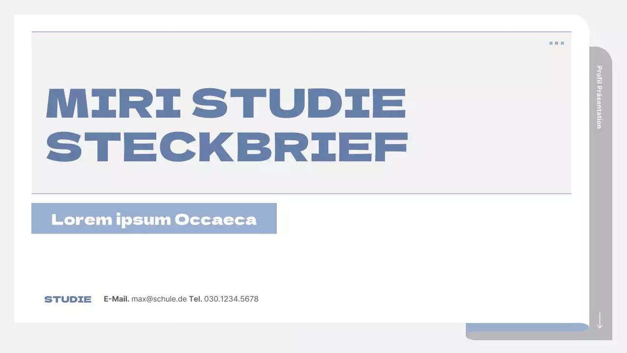 Ein einfacher Schulprospekt in Grau und Blau