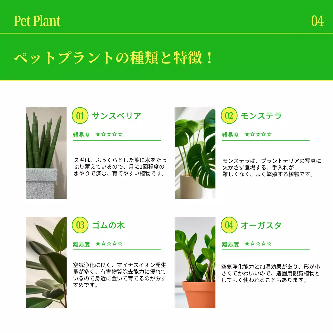 黄色 シンプル 観葉植物 パンフレット Instagram カルーセル
