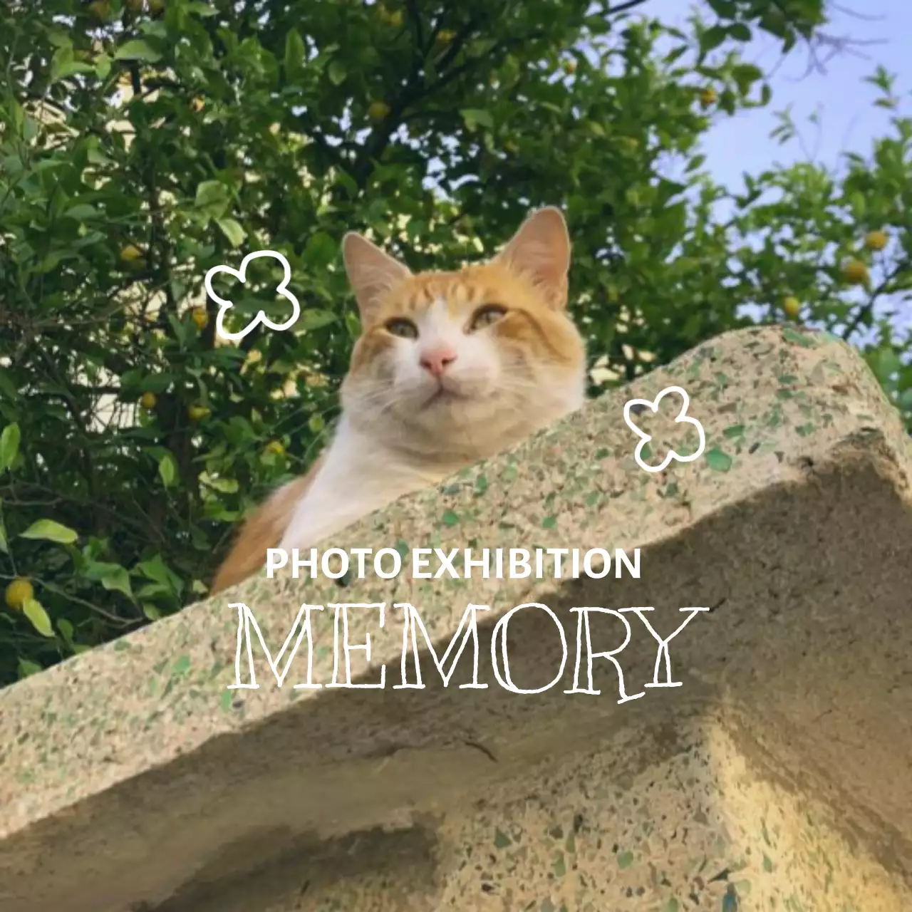 Photo exhibition merchandise with emotional photography and lettering concepts