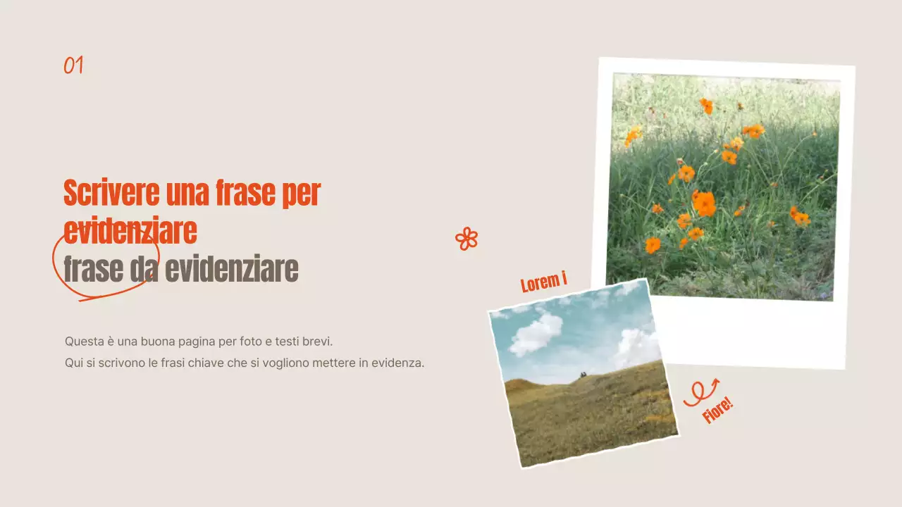 Fiori estivi arancioni e avorio spiegati