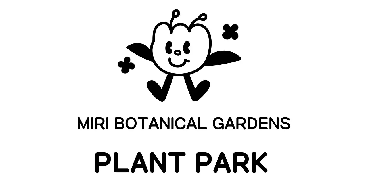 Promote your botanical garden with cute drawing plant illustrations