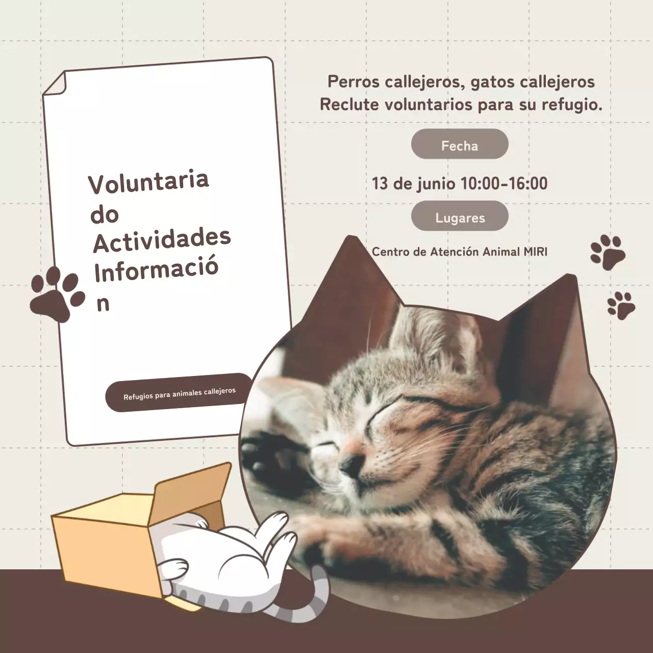 Promover la captación de voluntarios para el refugio beige y marrón.