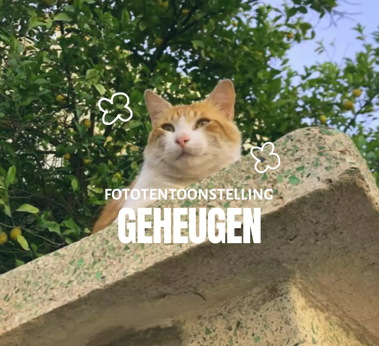 Fototentoonstelling merchandise met emotionele fotografie en beletteringsconcepten