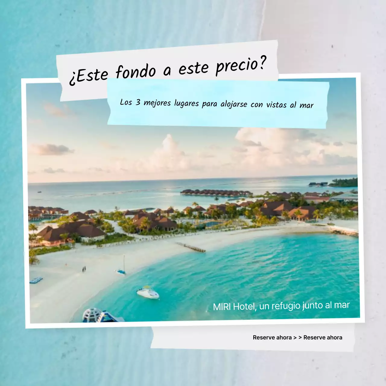 Guía de vacaciones tropicales en azul claro y blanco