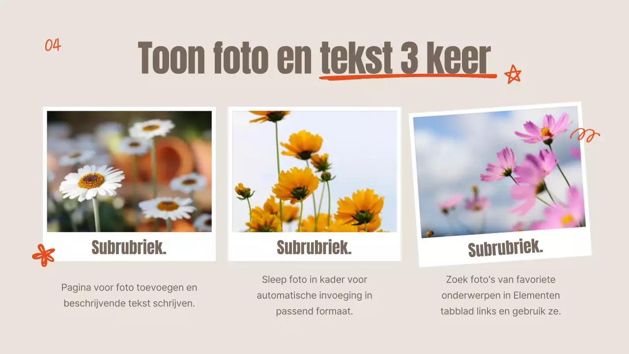 Oranje en ivoorkleurige zomerbloemen uitgelegd