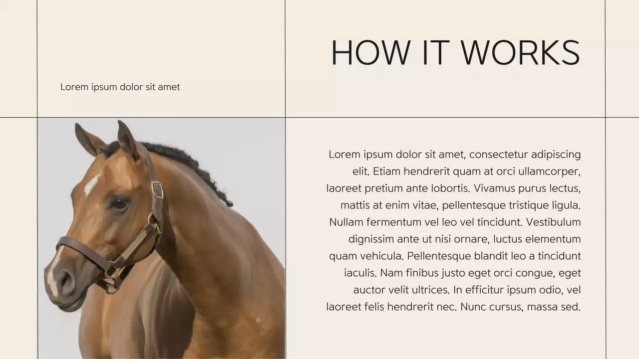 Beige Classic Horse Club Guide Presentation