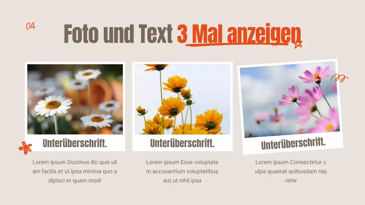 Orangefarbene und elfenbeinfarbene Sommerblumen erklärt
