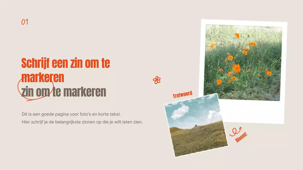 Oranje en ivoorkleurige zomerbloemen uitgelegd