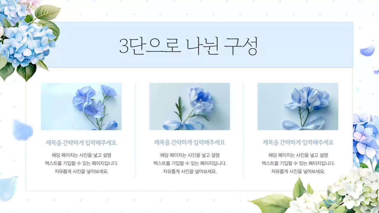 흰색의 고급스러운 여름의 수국 기획서