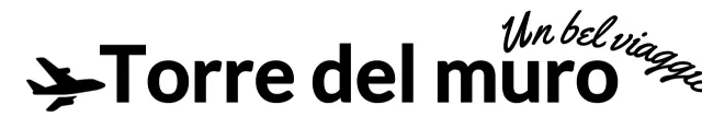 Per i loghi delle agenzie di viaggio con corsivo e sagome di aeroplani