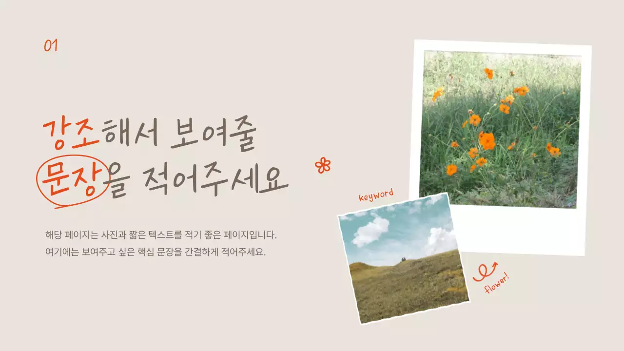 주황과 아이보리의 아기자기한 여름꽃 설명