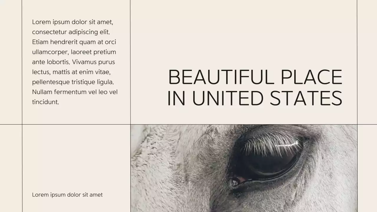 Beige Classic Horse Club Guide Presentation