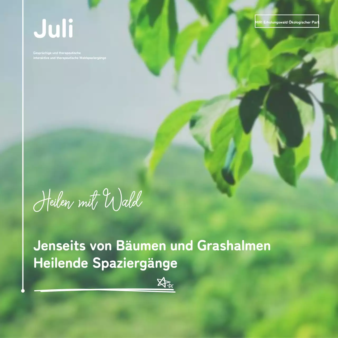 Green Nature Walks Einstellungsleitfaden