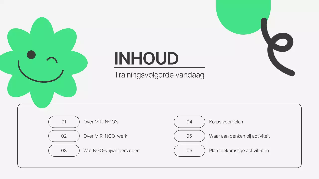 Een eenvoudige, groene en grijze inleiding tot NGO-vrijwilligerswerk vóór de workshop