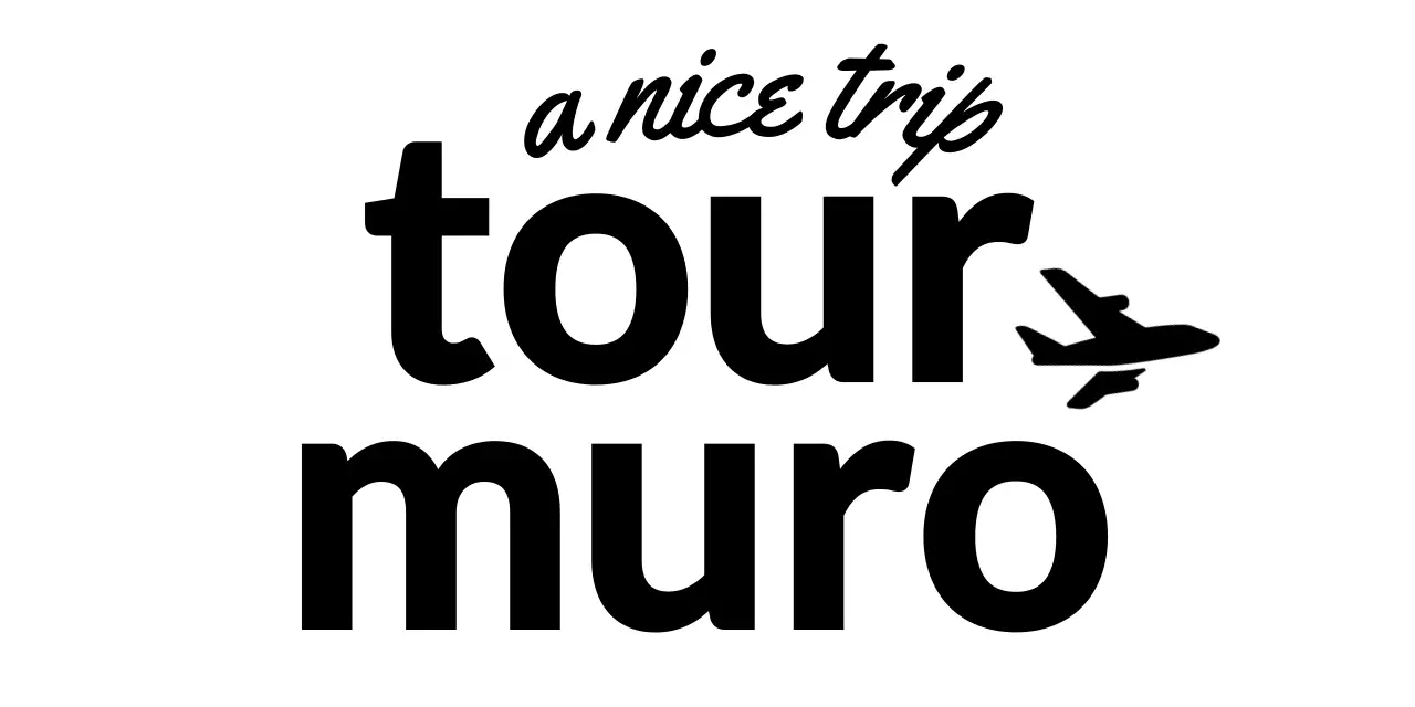 For travel agency logos with cursive and airplane silhouettes