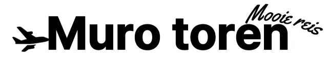 Voor logo's van reisbureaus met cursief schrift en silhouetten van vliegtuigen