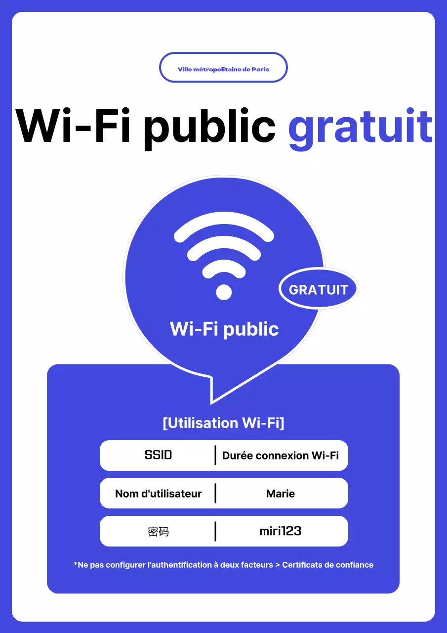 Informations simples sur l'utilisation du Wi-Fi public en bleu et blanc