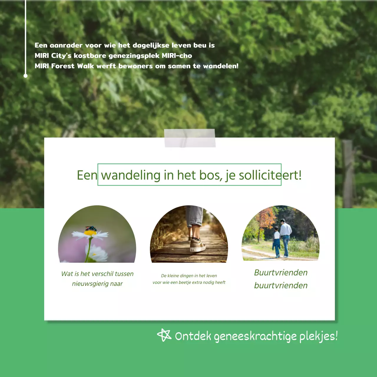 Groene Natuur Wandelingen Wervingsgids
