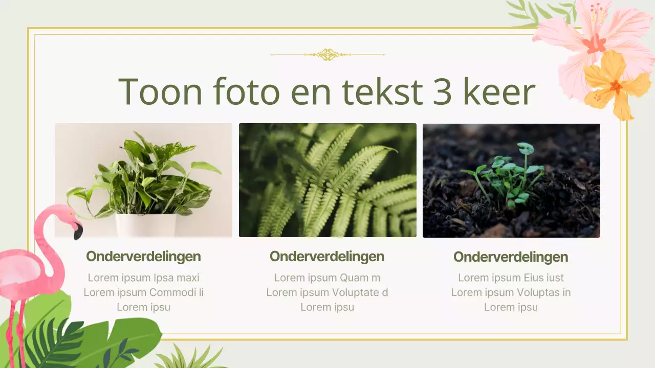 Een gids voor door de natuur geïnspireerde zomerachtergronden in chartreuse en roze